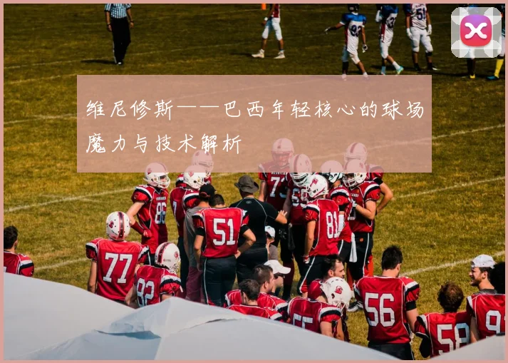维尼修斯——巴西年轻核心的球场魔力与技术解析