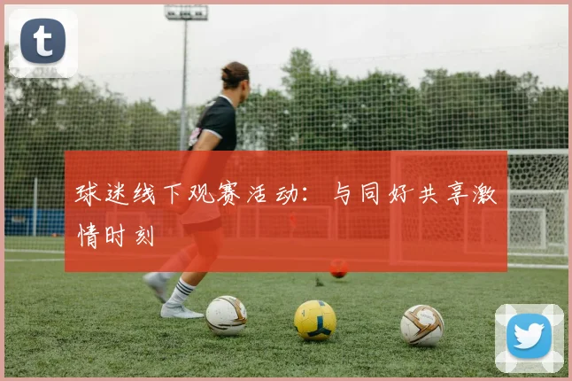 球迷线下观赛活动：与同好共享激情时刻