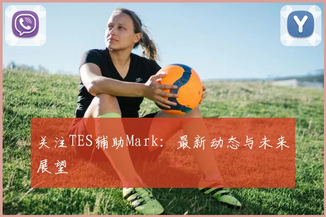 关注TES辅助Mark：最新动态与未来展望